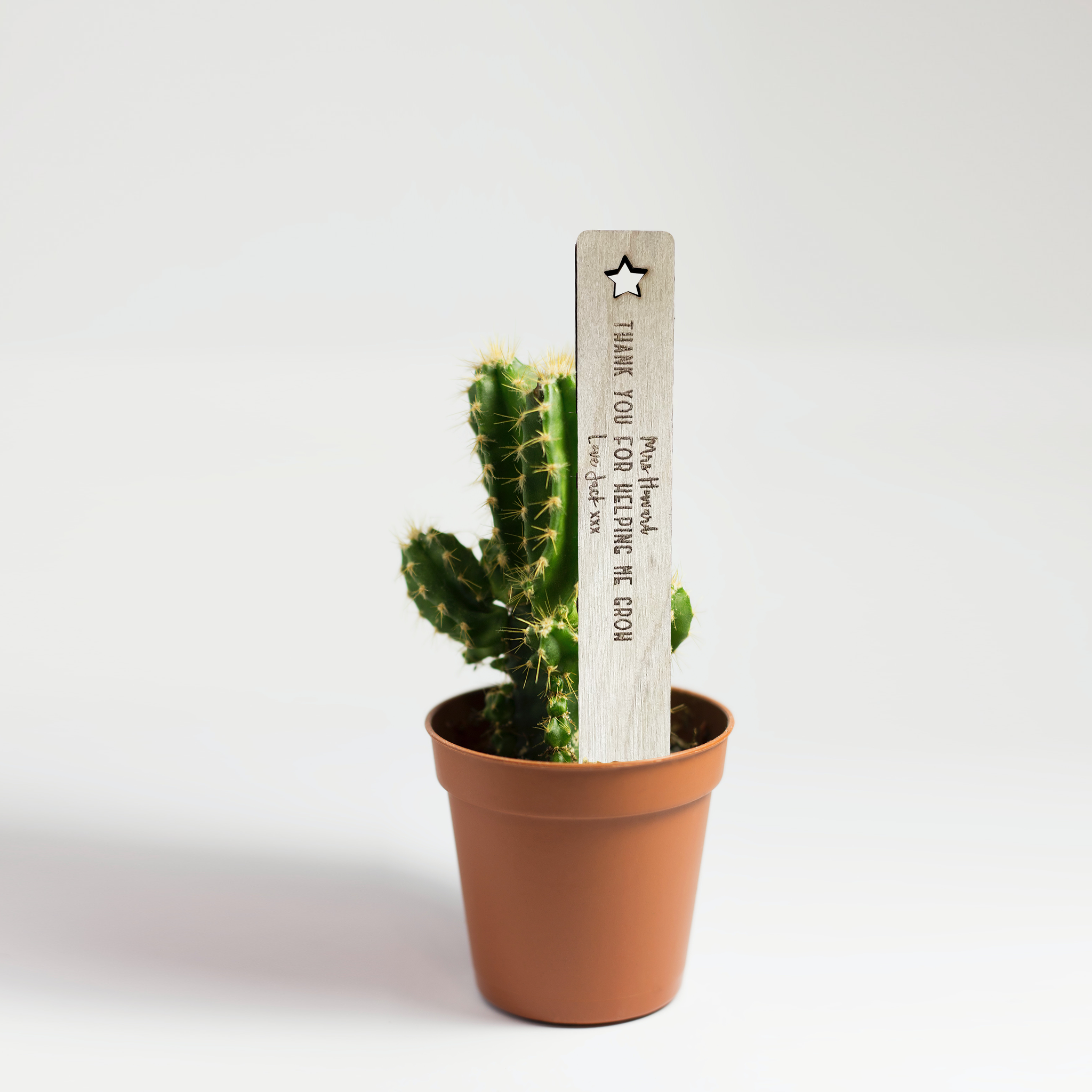 Plant Stake - Personalised Thank You Teacher Plant Cactus Stick